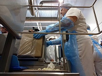 Продукция нового молочного завода в Черняховске не появится в магазинах