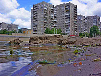 Набережная Карбышева станет речным пляжем Калининграда 