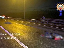 Двух человек сразу сбил насмерть «Мерседес» в 15 км от Калининграда