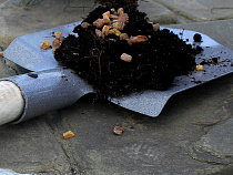 Янтарный комбинат заявил о рекорде добычи “солнечного камня” и налогов