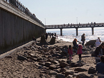 Администрация Зеленоградска рассказала, куда пропали тренажеры с променада
