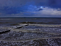 В Зеленоградске и Светлогорске прогнозируется выброс янтаря*