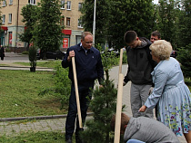 Из сквера на углу улиц Космонавта Пацаева и Красной похитили 12 саженцев 