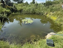 В Полесском районе в водоёме погибла девочка