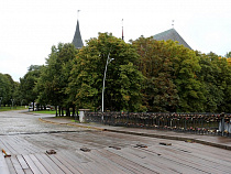 Ремонт Медового моста приостановят на три месяца из-за ЧМ-2018