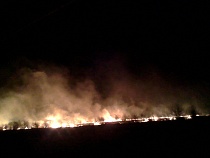 В Калининградской области не прекращаются палы сухой травы
