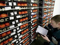 Из калининградских магазинов исчезнут продукты из Болгарии