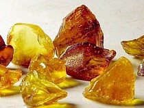 Сотрудники полиции пресекли нелегальную добычу янтаря