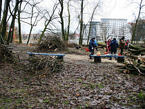 В Южном парке в Калининграде нашли деревья для вырубки