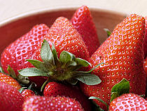 Под Зеленоградском могут открыть филиал немецкого предприятия по выращиванию клубники