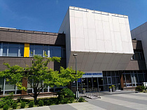 Власти Калининграда выдали университету порубочный билет на 750 деревьев