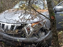 Угробившего «Мицубиси» угонщика из Поречья отдают под суд