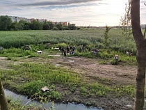 Правительство дало добро на застройку у ручья Товарного в Калининграде