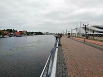 Алиханов назвал доходы от САР на острове Октябрьском в Калининграде