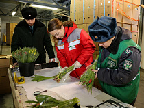 Таможня: в Калининградскую область завезли более 500 тонн цветов