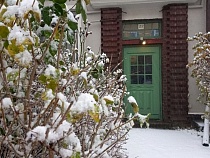 Калининградской области назвали срок до новых морозов