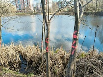 Названы проекты-победители благоустройства в Калининградской области