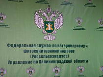 Россельхознадзор приостановил выпуск грузов рыбного фарша сурими из Вьетнама