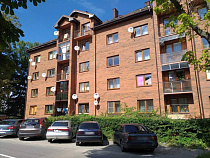 Автоледи и пешеход сцепились из-за собаки, что привело к уголовному делу