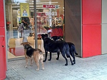 Как в Калининграде рост цен опередил повышение зарплат