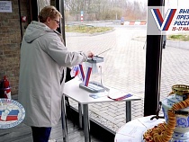 Жители четырёх стран приехали в Калининградскую область голосовать