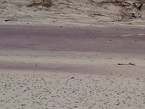 На пляже Куршской косы появились частицы ювелирных камней