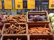 Алиханов нашёл в Калининграде магазин с дешёвыми овощами для борща 