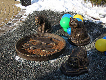 В Калининградской области открыли первый сквер для кормления котов (карта)