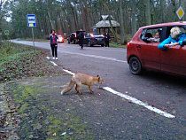 Нацпарк «Куршская коса» проводит областной конкурс юношеских исследовательских работ