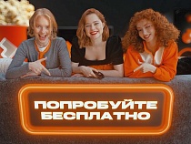 Подписка «Всё в одном» от Wink: 50 тыс. фильмов и сериалов, 50 млн треков, 40 тыс. книг + игры!
