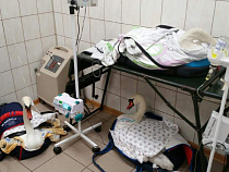 «Кошмар начался…»: в Калининграде массово гибнут лебеди (видео)