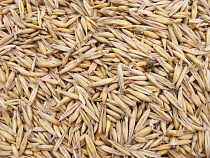 Сельхозкооператив в Нестеровском районе должен 24 работникам 350 тысяч рублей