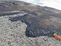 В Балтийске произошла утечка топлива из нефтяного танкера