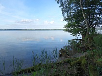 Вход в нацпарк в Калининградской области перекрыли деньгами 