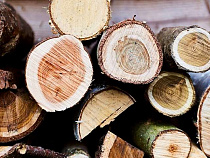 Стало известно, куда вывозят калининградскую щепу и доски