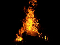 Калининградка получила полтора года тюрьмы за попытку сжечь квартиру брата