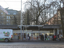 Владелец самостроя напротив зоопарка в Калининграде добровольно возвращает объекту прежний вид