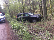 На Куршской косе внедорожник врезался в дерево из-за косули