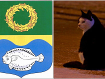 Смена герба Зеленоградска: депутатов предупредили о жалобе в прокуратуру