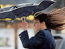 Мэрия Калининграда предупредила об усилении ветра 