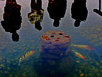 Новая схема водоснабжения и водоотведения Калининграда обойдётся в 16 500 000 рублей