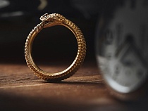 Паразит из Калининграда попытался стать Властелином колец бабушки