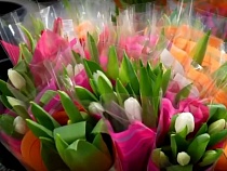 Из Калининградской области перед 8 марта вывезли миллионы цветов 