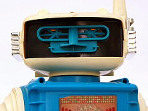 Центр экологии, краеведения и туризма в Калининграде закупает человекоподобного робота