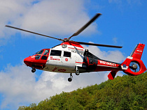 Правительство объяснило отсутствие санитарной авиации для спасения жизней «приграничными ограничениями»