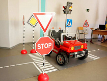  В Калининградской области 223 водителя перевозили детей без автокресел