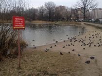 На Летнем озере шестилетний ребенок плавал на самодельном плоту 