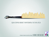 При повышении пожарной опасности на майских праздниках нацпарк "Куршская коса" закроют для посещения