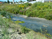 Факт сброса неочищенных стоков возле гостиницы «Усадьба» подтвердила прокуратура