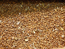 Через Литву в Калининградскую область тайно везли тонны продуктов